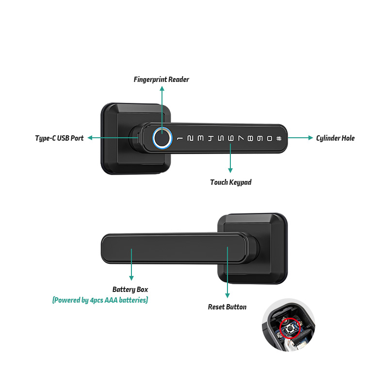 T3  Europe Fingerprint Smart L - Smart Home Europe reseña y precio