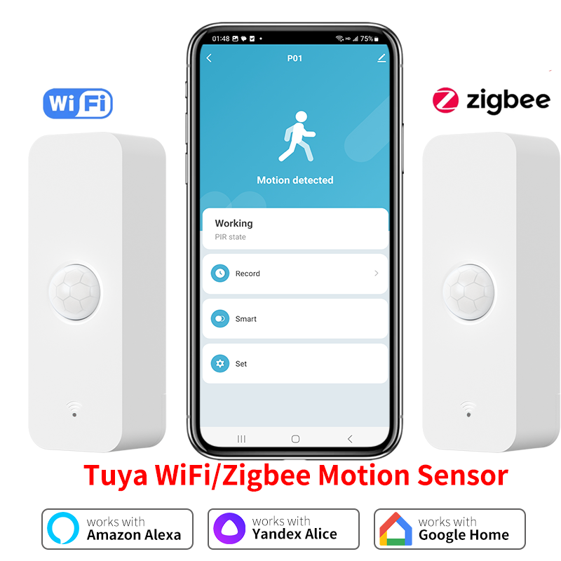 Tuya WiFi Zigbee PIR Motion Se - Smart Home Outdoor reseña y precio
