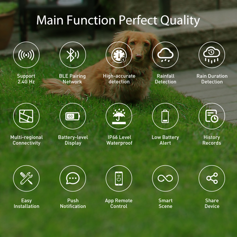 WiFi Rain Sensor Rainfall Dura - Smart Home Villa reseña y precio