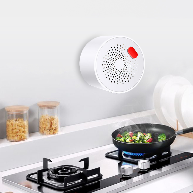 Tuya Smart Home Wifi Natural G - Smart Home Outdoor reseña y precio