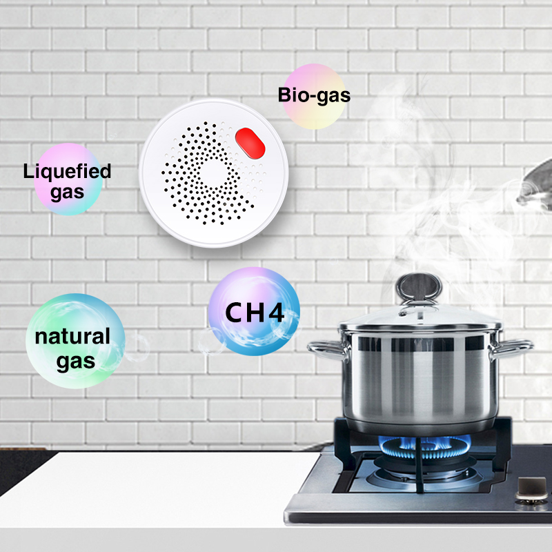 Tuya Smart Home Wifi Natural G - Smart Home Outdoor reseña y precio