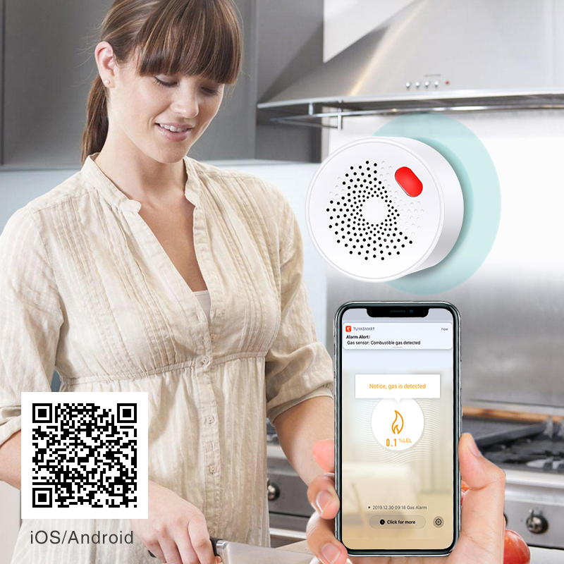 Tuya Smart Home Wifi Natural G - Smart Home Outdoor reseña y precio